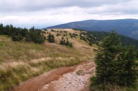 cesta z vrcholu k prameni Moravy