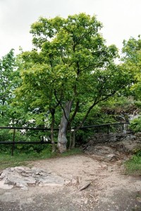 plošina vyhlídky na vrcholu Zkamenělého zámku