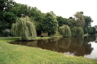 rybník v zámeckém parku