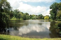zámecký park s rybníkem
