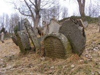 Židovský hřbitov - Švihov