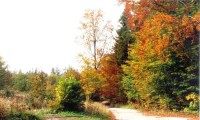 Podzimní krajina