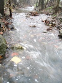 Javorový potok