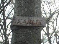 Karlík