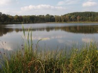 Bohušovský rybník 2: Pohled na Bohušovský rybník ze směru Bohušov