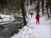 Trasa pro běžkaře v zimním období