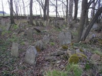Židovský hřbitov u Větrného Jeníkova