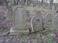 Židovský hřbitov u Větrného Jeníkova