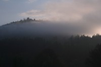Šumburk v ranní mlze