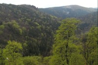 Prunéřovské údolí: Kokrháč