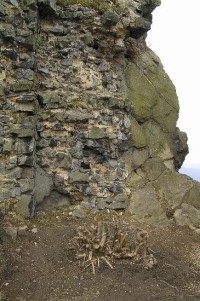 Vrabinec: zbytky zdiva obytné věže