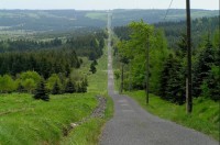 výhled od Lichtenwaldu: cesta od zámečku do Flájské obory