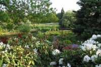 botanická zahrada: venkovní expozice