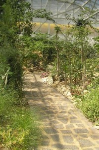 xerický (sukulentní) skleník: botanická zahrada Teplice