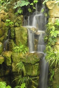vodopád v tropickém skleníku