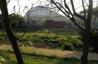 botanická zahrada: skleník