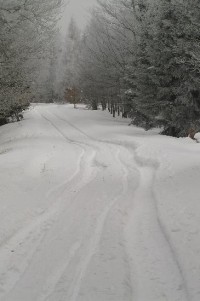 pod Jeřabinou: silnice z Křižatek do Mníšku v zimě