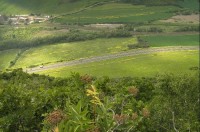 výhled ze Zlatníku: silnice č.13 pod kopcem
