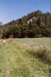 údolí Střely: Střela u Kozičkova mlýna