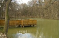rybníček v parku: Třebívlice