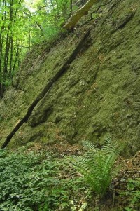 Krušnohorský zlom: Naučná stezka Přírodou a dějinami Oseka