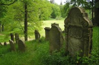 Chodová Planá: židovský hřbitov v zámeckém parku