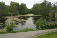 Chodová Planá: rybník za kostelem