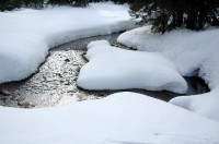 mokřady v zimě: trasa pro běžky vede přes mokřady