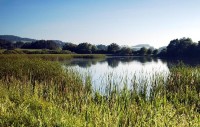 Malá Strana: Zbynické rybníky jsou tvořeny Velkou a Malou Stranou
