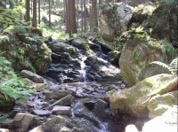 minivodopád na Kamenném potoce: Kamený  potok - levostraný přítok Doubravy asi 1km od Horního mlýna