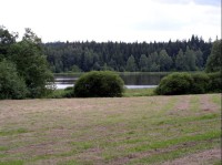 Doubravník: rybník Doubravník u Radostína, jeden z pramenů řeky Doubravy