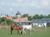 Jaroměřice