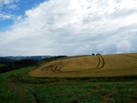 Z Písečného přes Vítochov a Dalečín do Bystřice