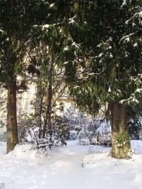 Zahrada v zimě 3, zákoutí s lavičkou