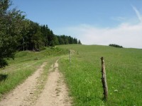 Cesta mezi pastvinami a lesem