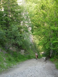 Pohodlná cesta po úbočí Kvačanské doliny