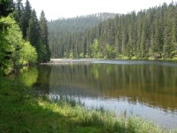 Jezero Laka s Plesnou