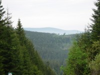 Pohled od rozcestí k Černému jezeru.