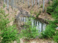 Lesní jezírko pod pramenem Dřevnice