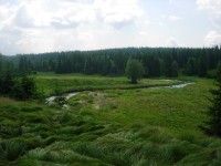 Meandry Roklanského potoka