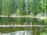 Šumava: Jezero Laka