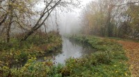 Podzimní příroda u potoka