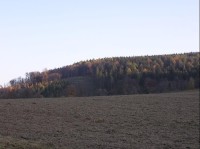 Horní Buková: Cesta od Potštátu