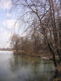 Rychvald - rybník Velký Cihelník