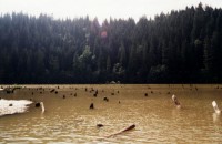 Jezero Lacul Rosu 