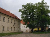 Strahovský klášter 19