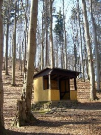Lesy Slavkov 3: CHKO Slavkovský les ? karlovarské lázeňské lesy. Jaro