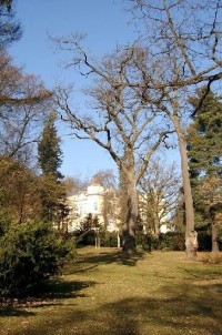 Park 52: Tento zámecký park se vyznačuje velmi starými a cennými stromy, dříve to byly především prastaré duby. Jeden z nich, tzv Körnerův je starý až 1000 let. Ještě počátkem minulého století tu stáli tři takoví velikáni, které básník Theodor Körner