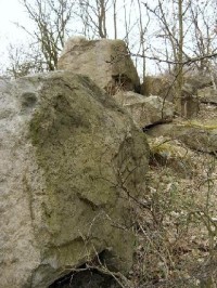 Počerny 5: Dvě lokality balvanů z rozptýleného křemencového příkrovu z doby oligocénu ? tj. druhohorní řečiště Ohře.
