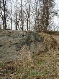 Počerny 10: Dvě lokality balvanů z rozptýleného křemencového příkrovu z doby oligocénu ? tj. druhohorní řečiště Ohře.